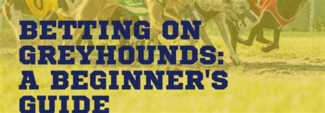 greyhound betting system review|Greyhound Betting Strategy Guide: Detailed .